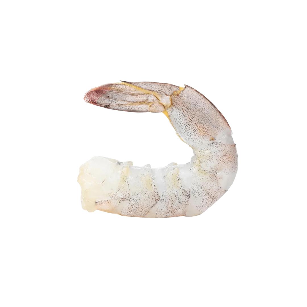 Langostinos Pelados y Desvenados de Venezuela| Precio por kilo